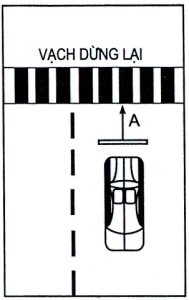 Bài 2: Dừng Xe Nhường Đường Cho Người Đi Bộ