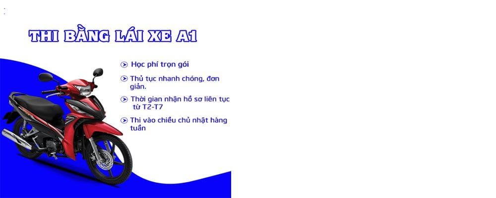 Trường Dạy Lái Xe Tân Sơn - Nơi Đăng Ký Học, Thi Bằng Lái Xe 1